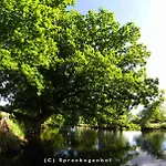 Spreebogenhof Tauche
