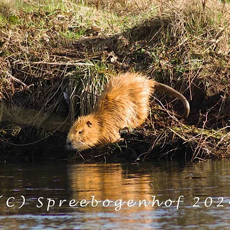 Spreebogenhof Apartamento Tauche