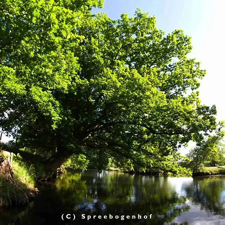 Spreebogenhof Tauche