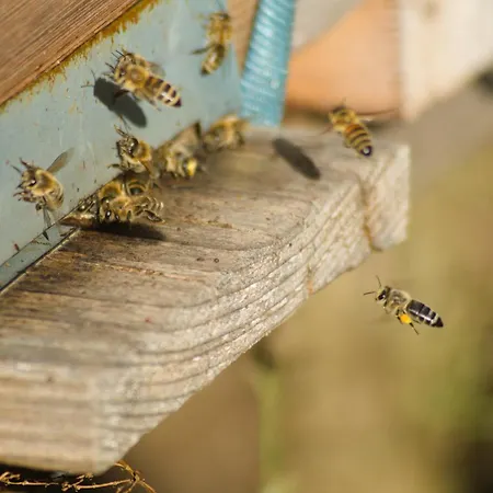 Apartment Spreebogenhof *