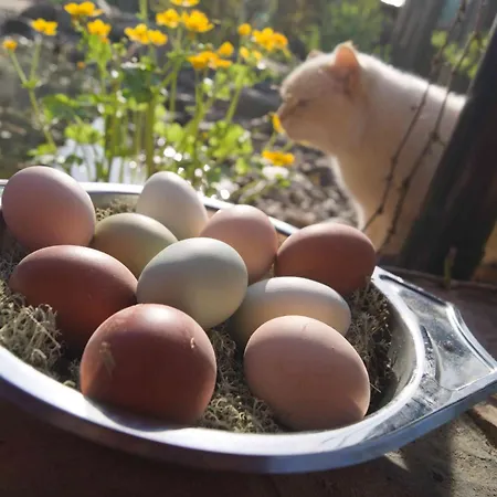 Spreebogenhof Apartment