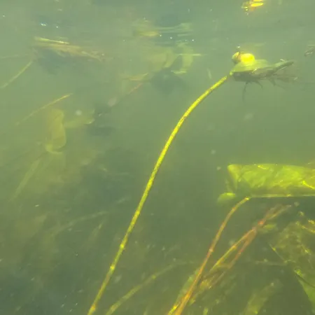 Apartamento Spreebogenhof Tauche