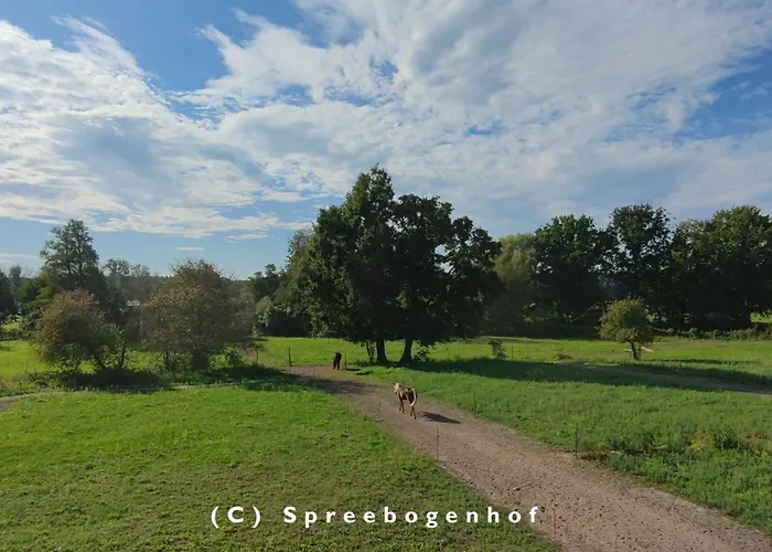 Spreebogenhof Tauche