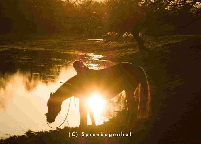 Spreebogenhof Apartamento