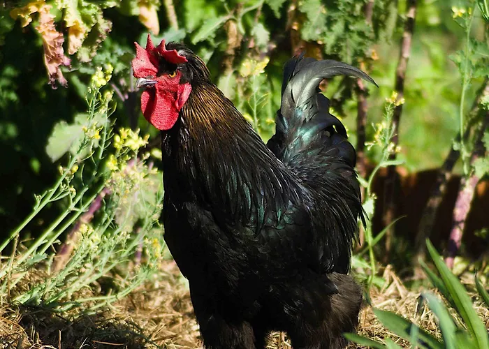 Apartamento Spreebogenhof *