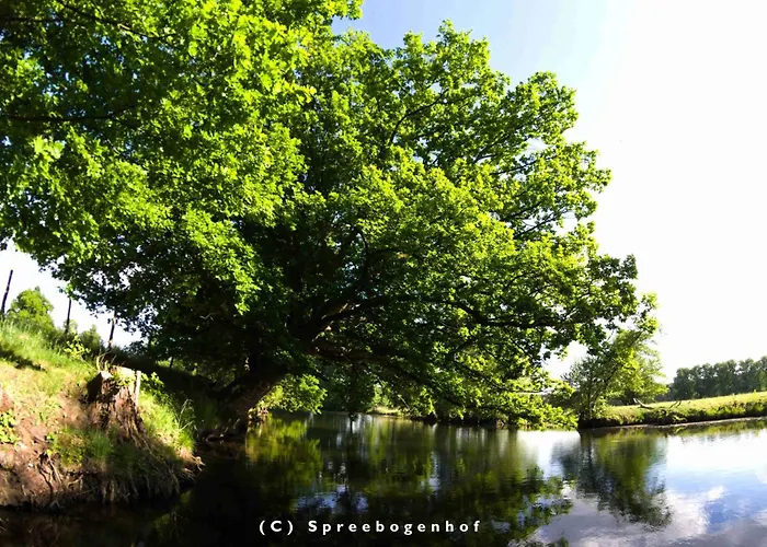 Spreebogenhof Tauche