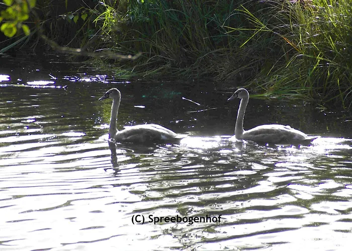 Spreebogenhof Apartment *