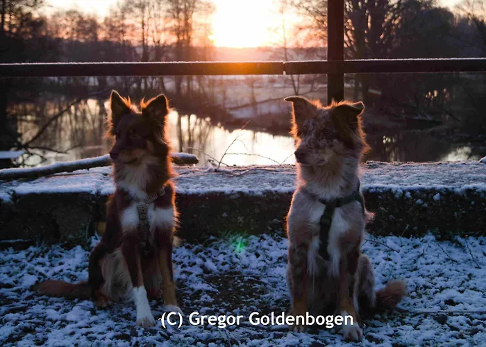 Spreebogenhof Apartamento *