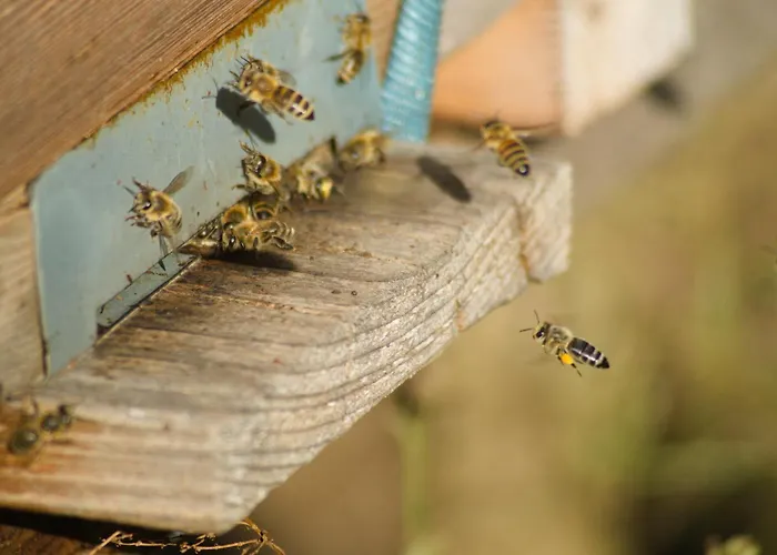 Apartamento Spreebogenhof *