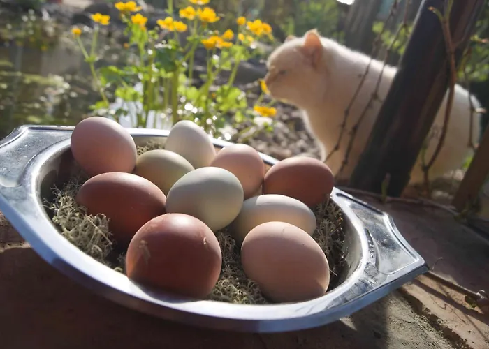 Spreebogenhof Apartment