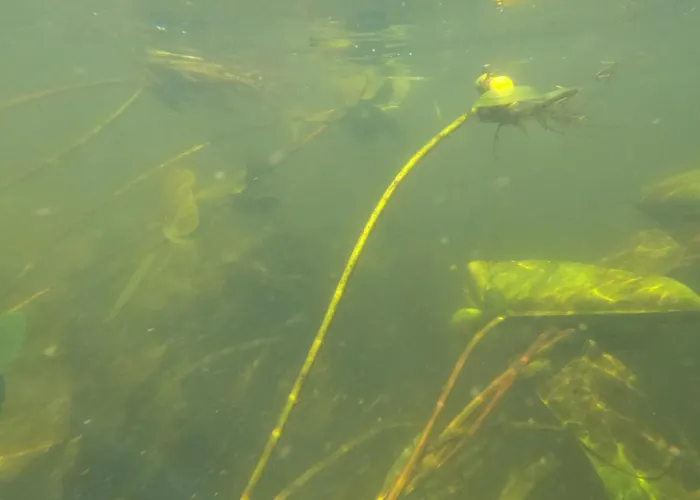 Apartment Spreebogenhof Tauche