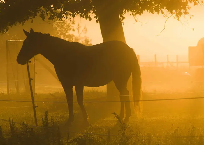 Apartment Spreebogenhof Tauche