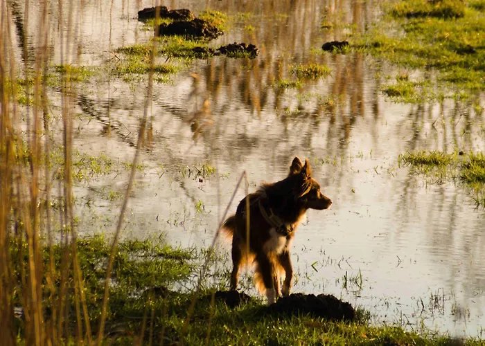 Spreebogenhof Apartment Tauche