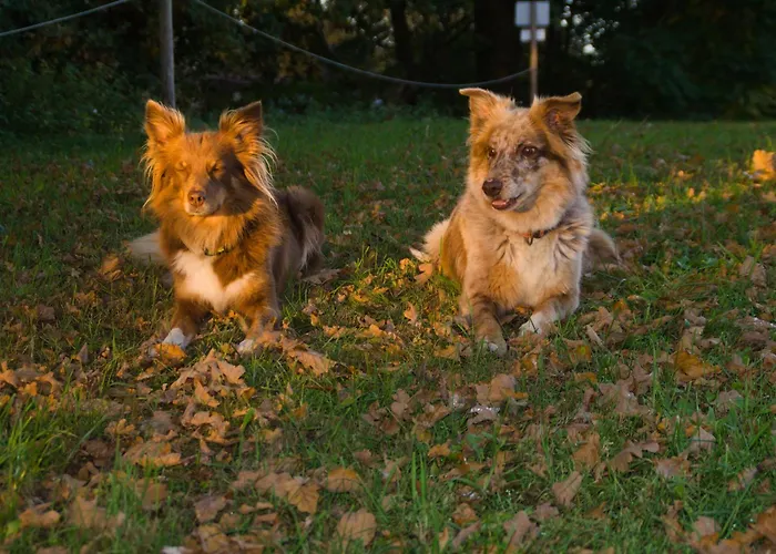 Apartamento Spreebogenhof Tauche